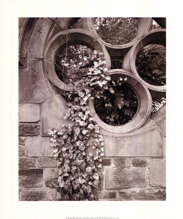 Framed Secret Garden I Print