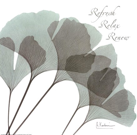 Framed Gingko Sea II Print