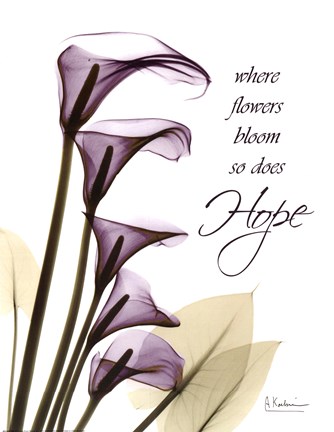 Framed Blackberry Calla Lilies, Hope Print