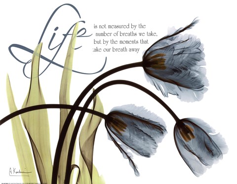 Framed Mineral Blue Tulips...Life Print