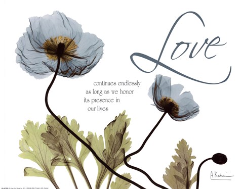 Framed Mineral Blue Poppies...Love Print