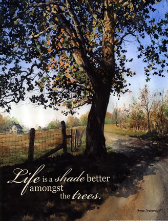 Framed Amongst the Trees Print