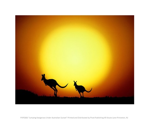 Framed Jumping Kangaroos Under Australian Sunset Print