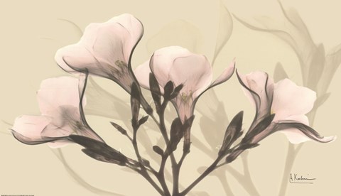 Framed Misty Reflection Oleander Print