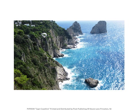 Framed Capri Coastline Print