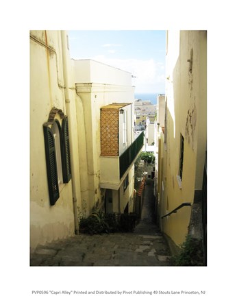 Framed Capri Alley Print