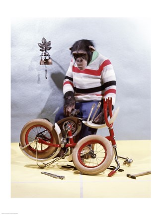 Framed Bicycle Assembly Print