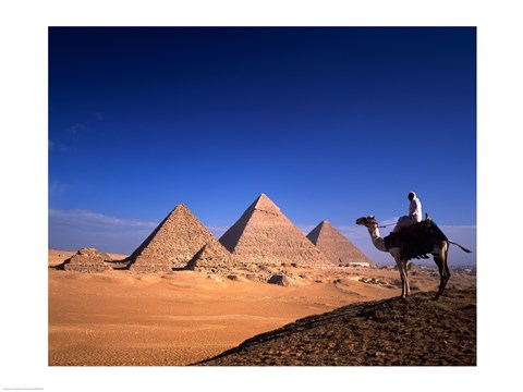 Framed Riding a camel near pyramids, Giza Pyramids, Giza, Egypt Print