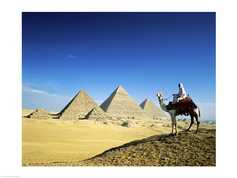 Framed Man riding a camel near the pyramids, Giza, Egypt Print