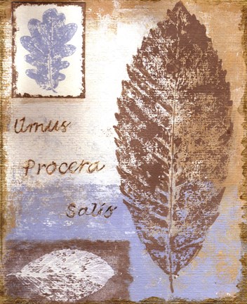 Framed Leaf III Print