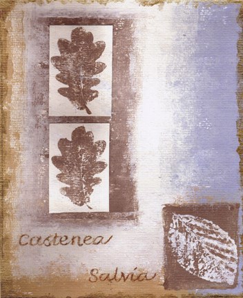 Framed Leaf II Print