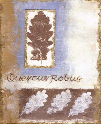 Framed Leaf IV Print