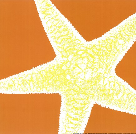 Framed Graphic Shell I Print