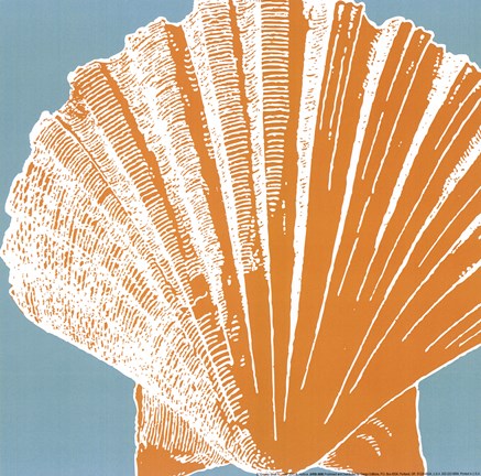 Framed Graphic Shell IV Print