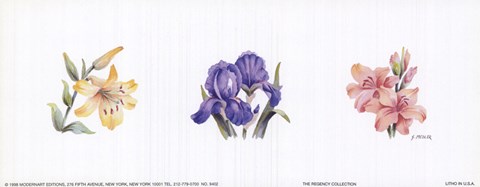 Framed Floral Spray II Print