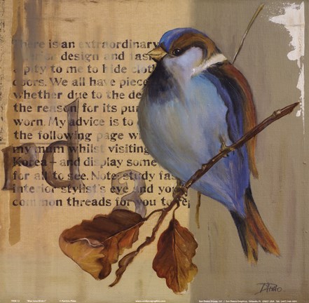 Framed Blue Love Birds I Print
