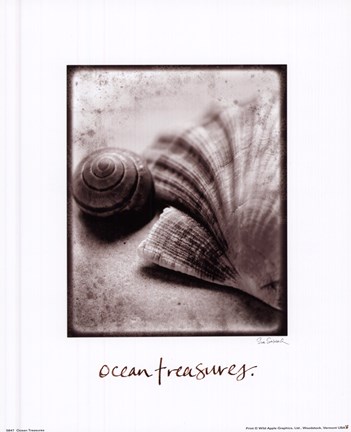 Framed Ocean Treasures Print