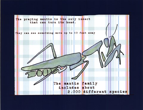 Framed Did You Know - Praying Mantis Print