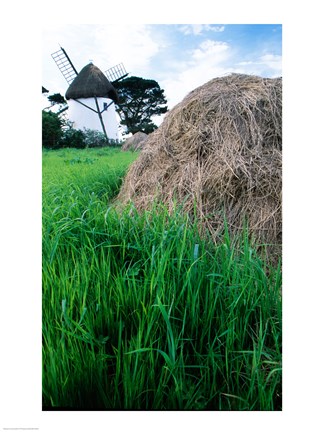 Framed Traditional windmill in a field, Tacumshane Windmill, Tacumshane, Ireland Print
