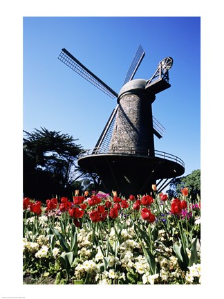 Framed Low angle view of a traditional windmill, Queen Wilhelmina Garden, Golden Gate Park, San Francisco, California, USA Print
