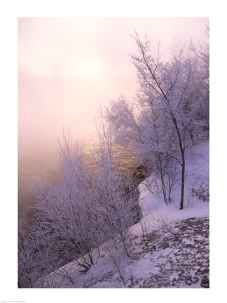 Framed River covered with fog at sunrise Print