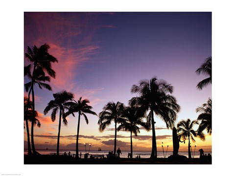 Framed Silhouette of palm trees on the beach, Waikiki Beach, Honolulu, Oahu, Hawaii, USA Print