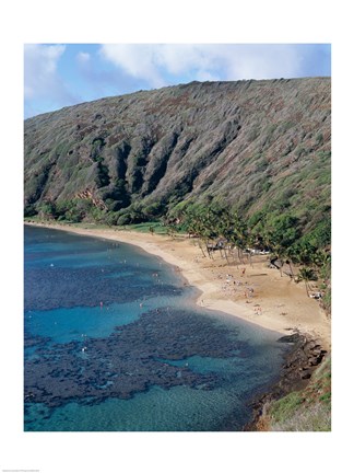 Framed High angle view of a bay, Hanauma Bay, Oahu, Hawaii, USA Vertical Print