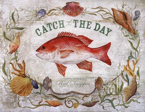 Framed Snapper Print