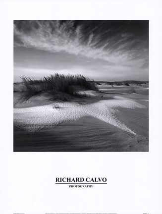 Framed Sand &amp; Snow Print