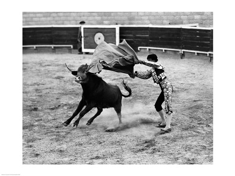 Framed Matador fighting with a bull Print