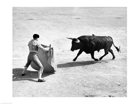 Framed High angle view of a bullfighter with a bull in a bullring, Madrid, Spain Print
