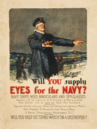 Framed Eyes for the Navy Print