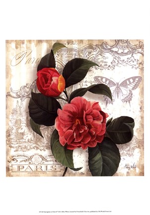 Framed Springtime in Paris II Print