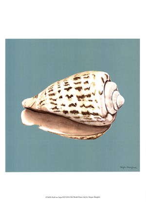Framed Shell on Aqua II Print