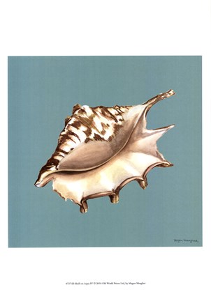Framed Shell on Aqua IV Print