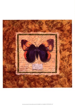 Framed Diva Moth Print