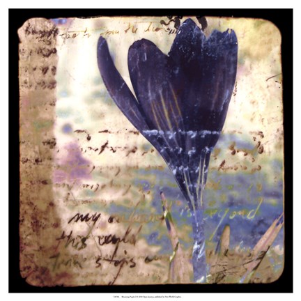 Framed Blooming Purple I Print