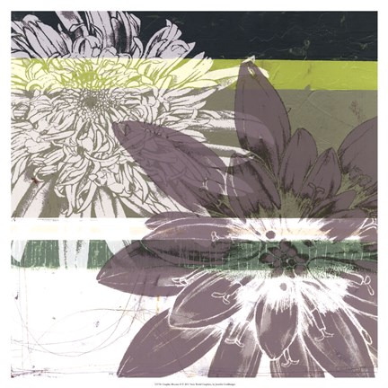 Framed Graphic Blooms II Print