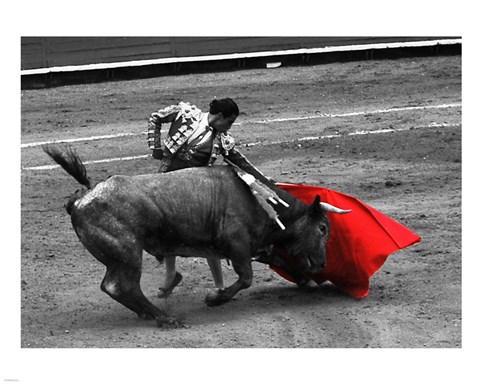 Framed Red Matador III Print