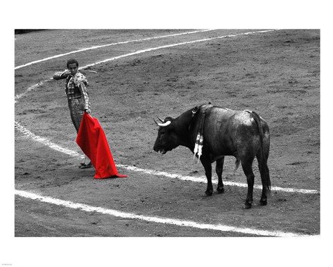 Framed Red Matador I Print