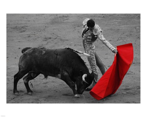 Framed Red Matador II Print