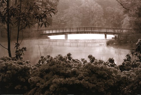 Framed Callaway Garden Azaleas Print