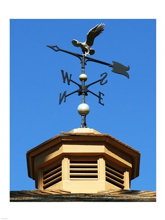 Framed Weathervane Print