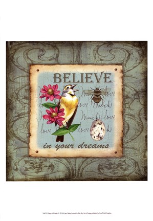 Framed Wings of Wonder IV Print