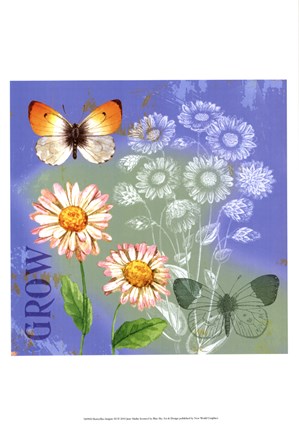 Framed Butterflies Inspire III Print