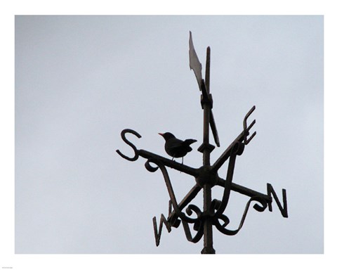 Framed Weathervane on the McKee Clock, Bangor Print