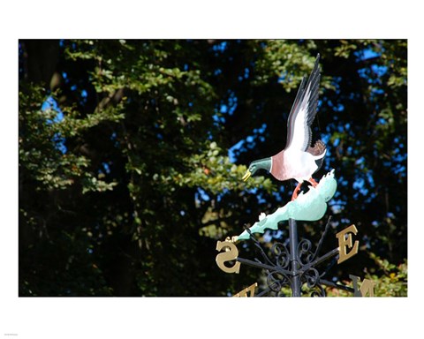 Framed Weathvane, Bangor Print