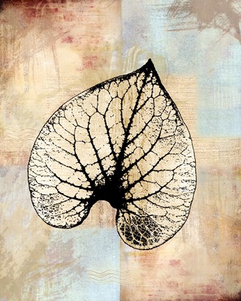 Framed Choc Spice Skel Leaf IV Print