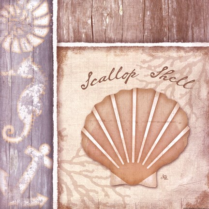 Framed Scallop Shell Print