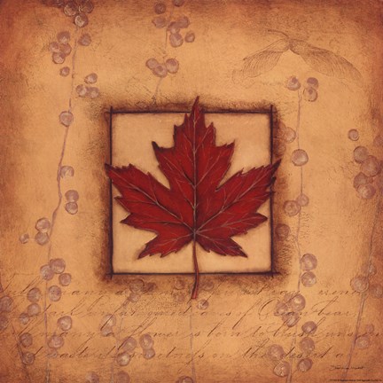 Framed Maple Leaf Print